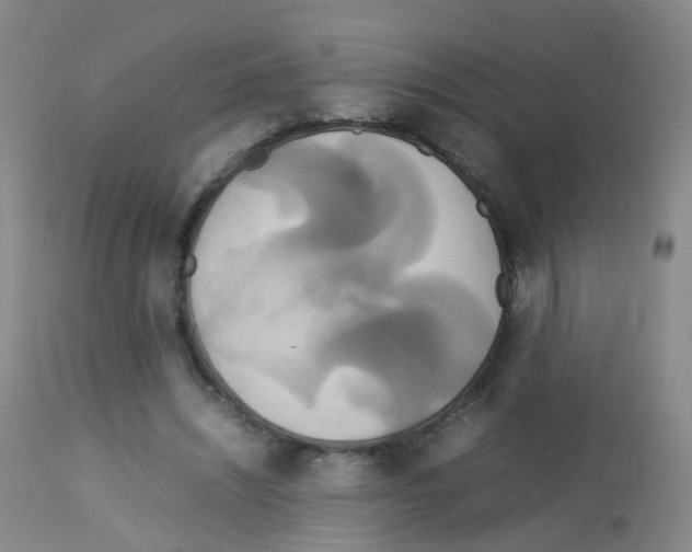 X0000113070444200910091212