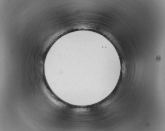 X0000113070445200910091212