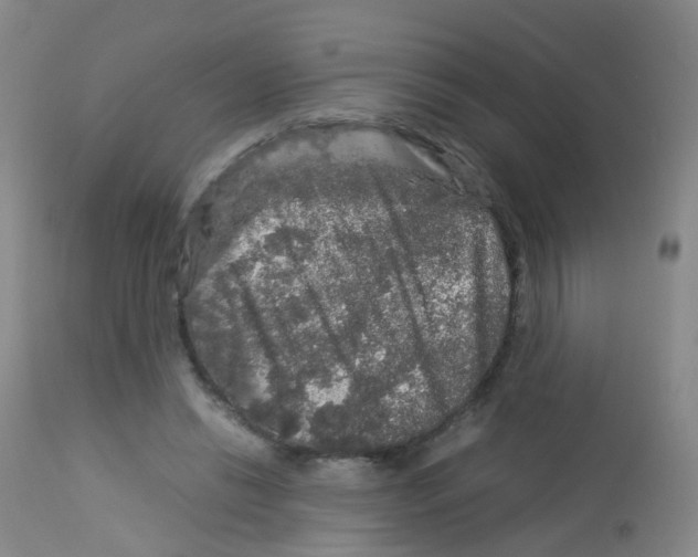 X0000113070446200910091212