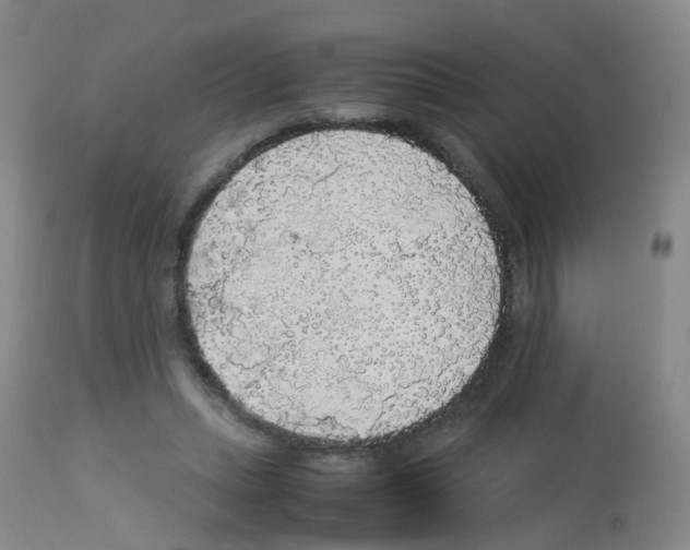 X0000113070447200910091212