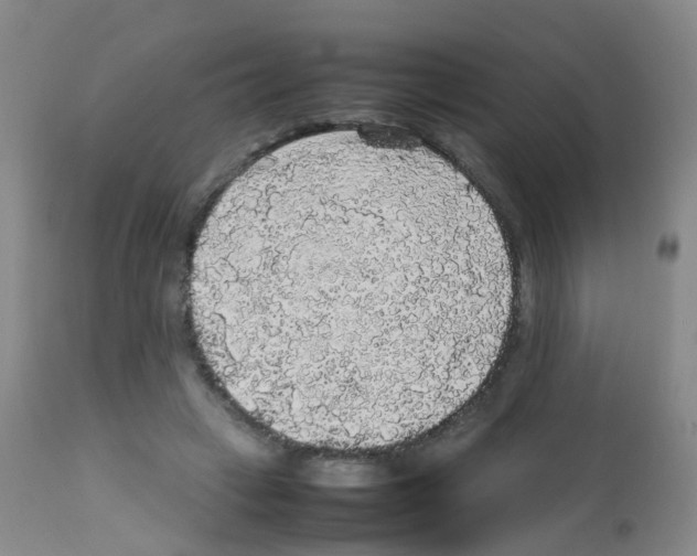 X0000113070449200910091212
