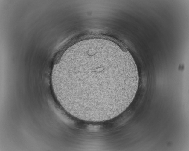 X0000113070450200910091212