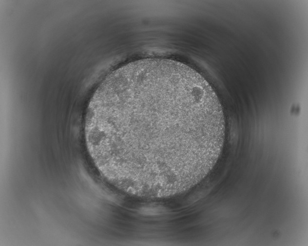 X0000113070451200910091212