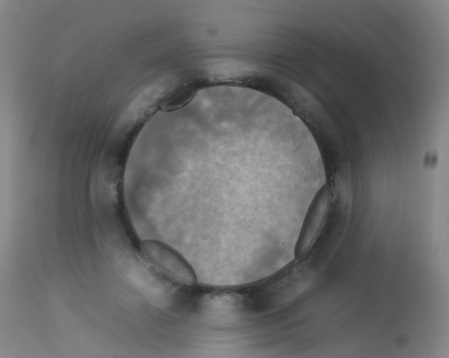 X0000113070452200910091212