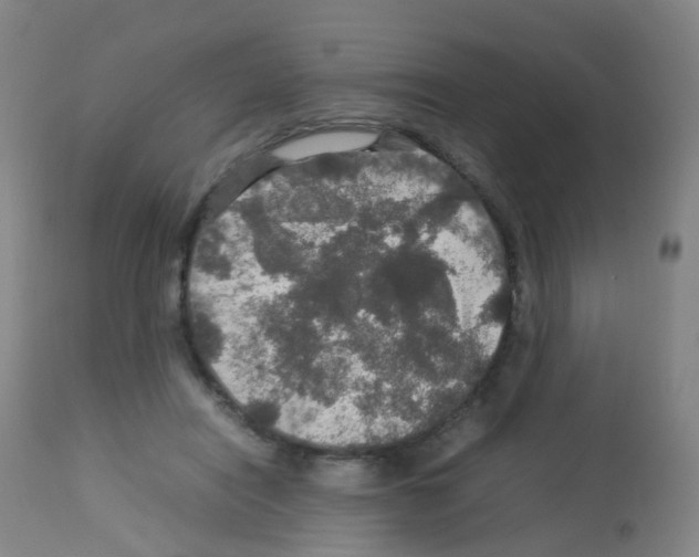 X0000113070454200910091212