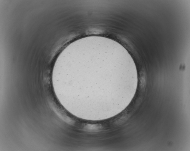 X0000113070455200910091212