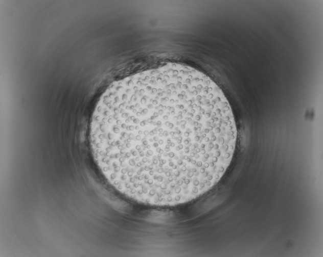 X0000113070458200910091212