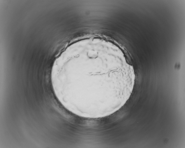 X0000113070462200910091212