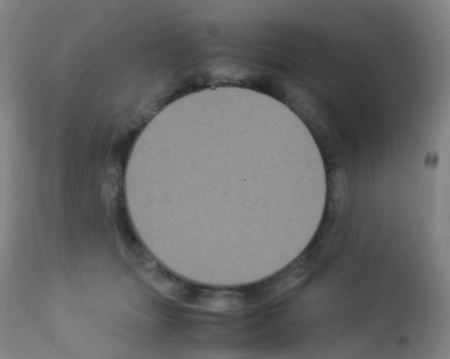 X0000113070463200910091212