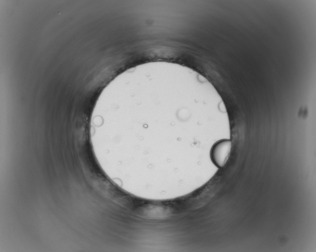 X0000113070464200910091212