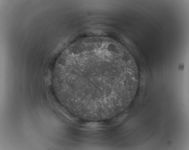 X0000113070465200910091212