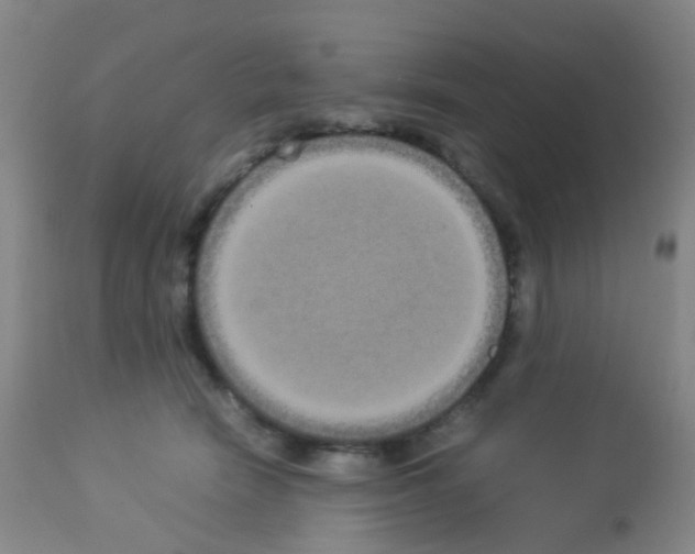 X0000113070466200910091212