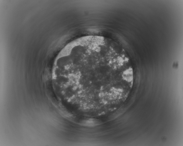X0000113070467200910091212