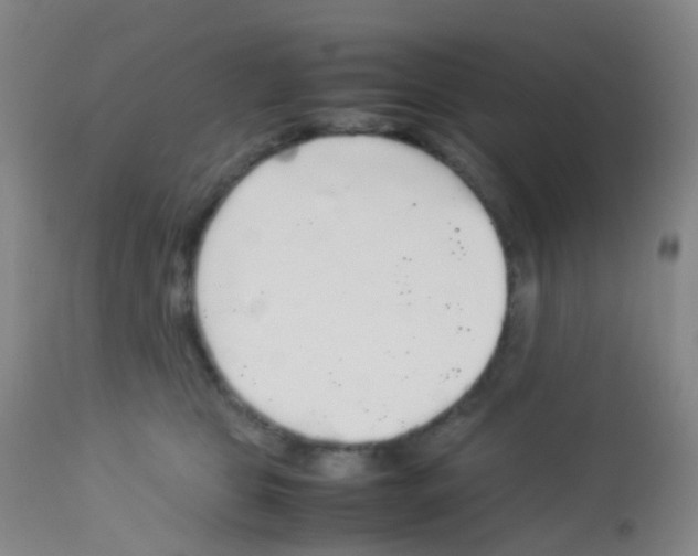 X0000113070469200910091212