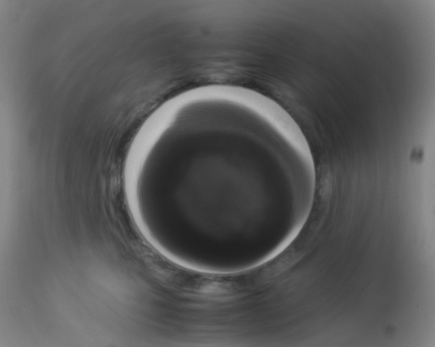 X0000113070471200910091212