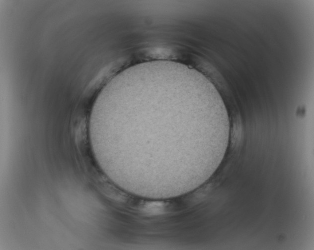 X0000113070473200910091212