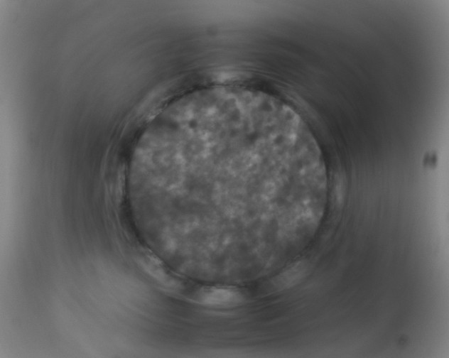 X0000113070475200910091212