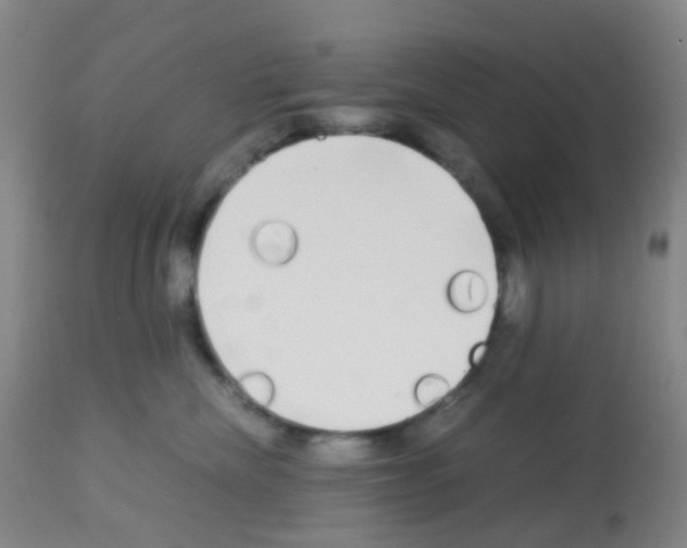 X0000113070476200910091212