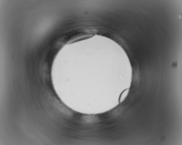X0000113070477200910091212