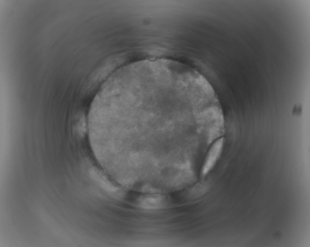 X0000113070479200910091212