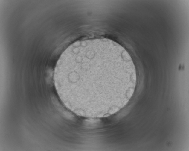X0000113070480200910091212
