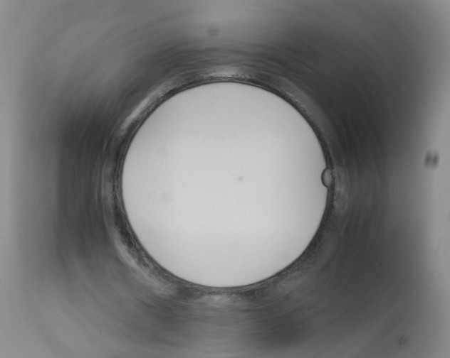 X0000113070482200910091212
