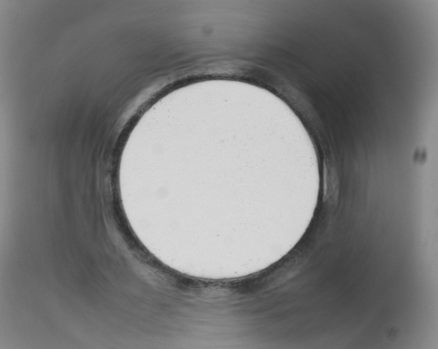 X0000113070483200910091212