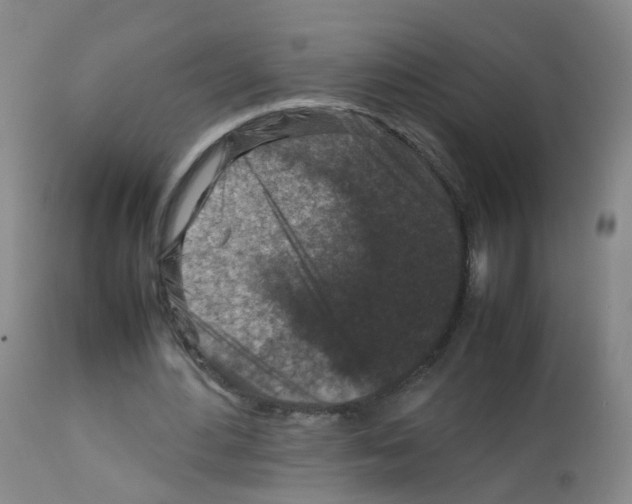 X0000113070484200910091212
