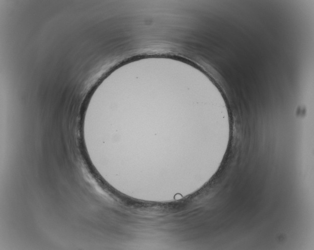 X0000113070485200910091211