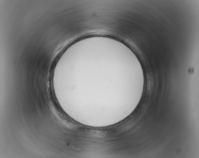 X0000113070486200910091211