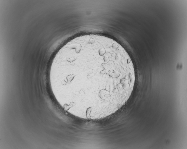 X0000113070487200910091211