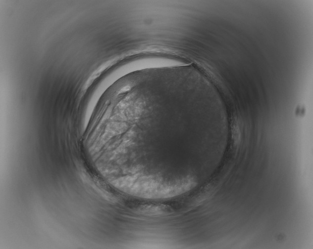 X0000113070488200910091211