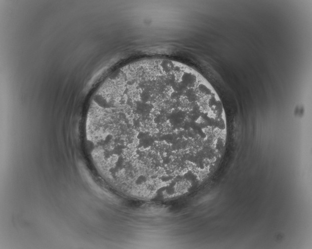 X0000113070491200910091211