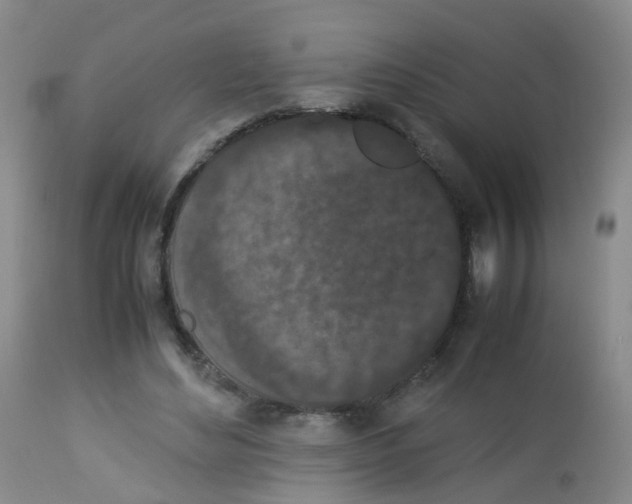 X0000113070492200910091211