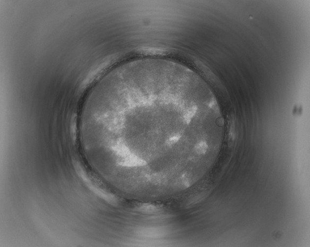 X0000113070494200910091211