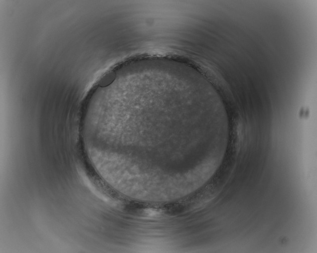 X0000113070496200910091211