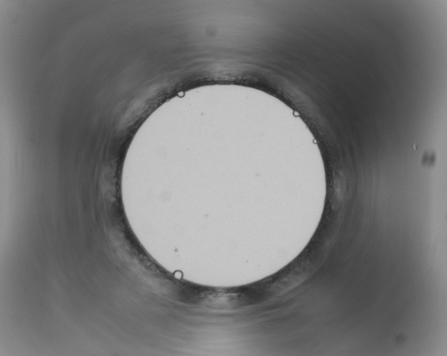 X0000113070497200910091211