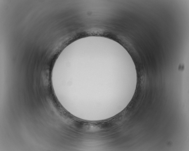 X0000113070498200910091211