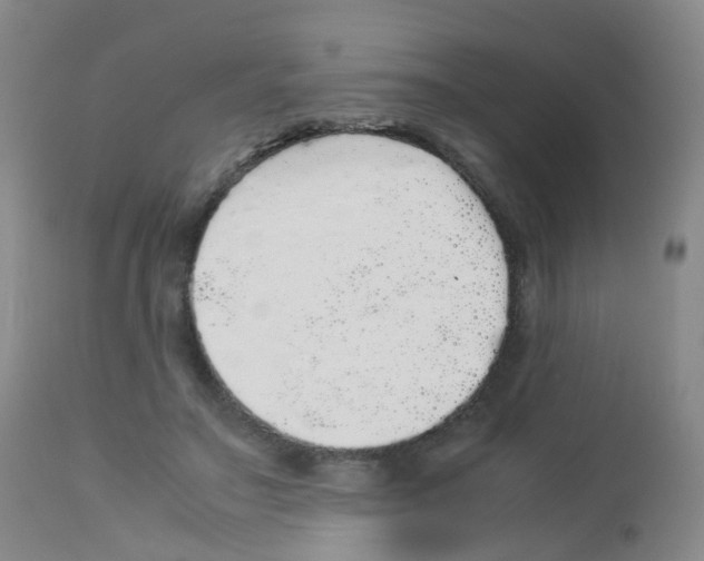 X0000113070499200910091211