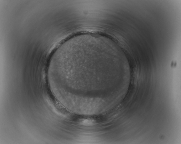 X0000113070500200910091211
