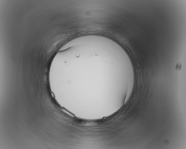 X0000113070501200910091211