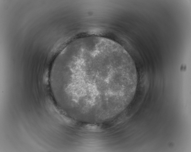X0000113070502200910091211