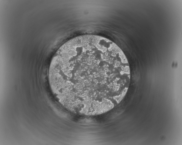X0000113070503200910091211