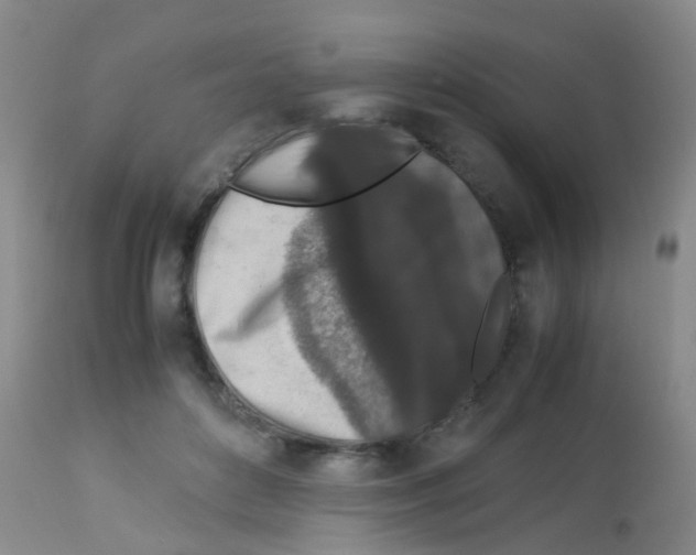 X0000113070504200910091211