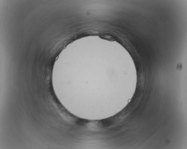 X0000113070505200910091211