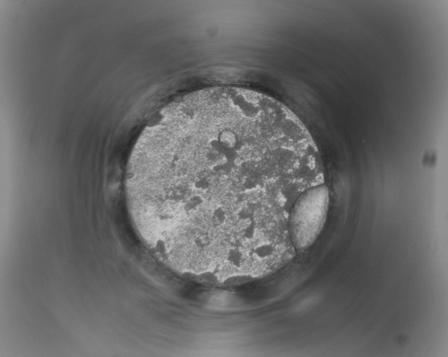 X0000113070507200910091211