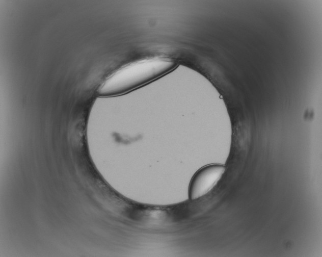 X0000113070509200910091211