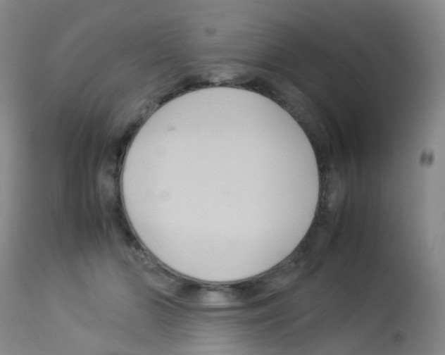 X0000113070510200910091211