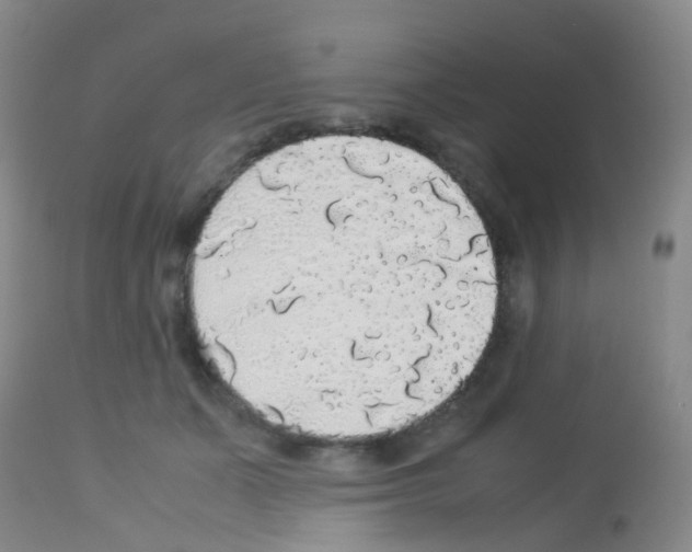 X0000113070511200910091211