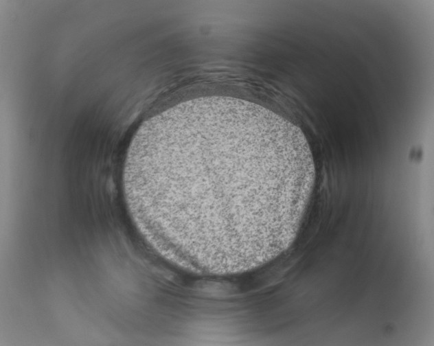 X0000113070512200910091211